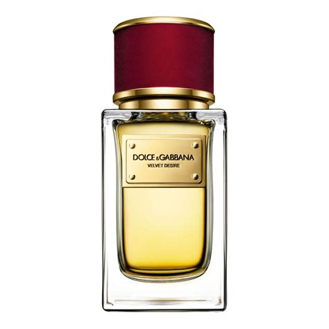 dolce gabbana velvet desire|dolce gabbana unisex.